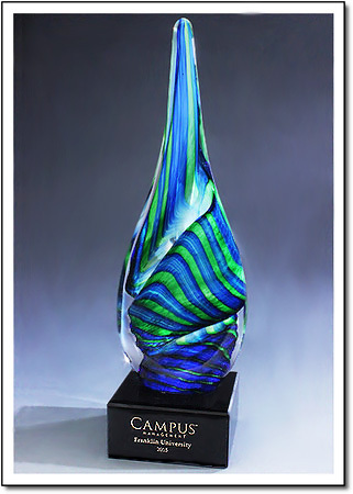 Amazon Art Glass Award
